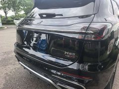 Hongqi HS5 2.0T two-wheel drive Qixiang Pro version - фото 16