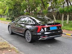 Hongqi H5 2.0T automatic Qichang version - фото 15
