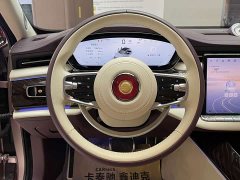 Hongqi Golden Sunflower Guoya 4.0T V8 version - фото 11