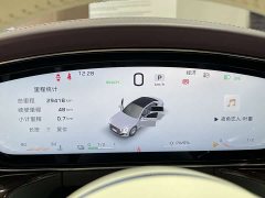 Hongqi Golden Sunflower Guoya 4.0T V8 version - фото 12