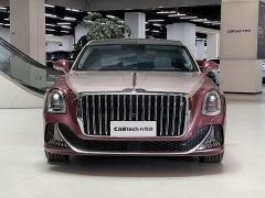 Hongqi Golden Sunflower Guoya 4.0T V8 version - фото 2