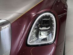 Hongqi Golden Sunflower Guoya 4.0T V8 version - фото 7