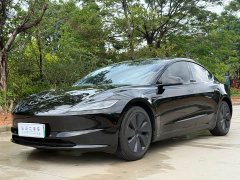 Tesla Model 3 Edition - фото 1