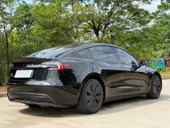 Tesla Model 3 Edition - фото 15