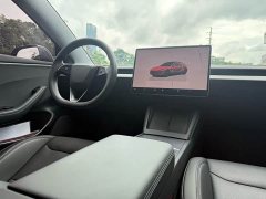 Tesla Model 3 Edition - фото 9