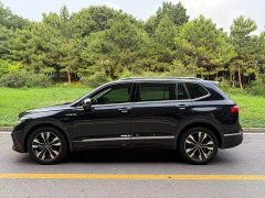 Volkswagen Tiguan L 2022 330TSI automatic two-wheel drive R-Line flagship version - фото 3