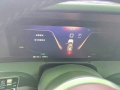 Hongqi E-HS9 690km flagship version six seats - фото 12