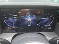 Hongqi HS7 PHEV 2.0T PHEV four-wheel drive flag collar version 6 seats - фото 12