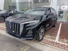 Hongqi HS3 PHEV 2024 115km Jinwei Edition - фото 2