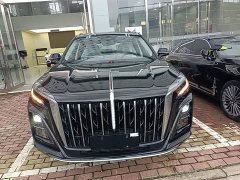 Hongqi HS3 PHEV 2024 115km Jinwei Edition - фото 3