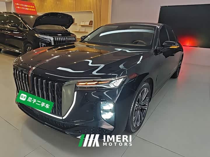Hongqi H9 2024 2.0T Qixiang Private Fashion Edition - автомобиль из Китая