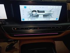 Hongqi H9 2024 2.0T Qixiang Private Fashion Edition - фото 13