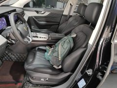 Hongqi HS5 2.0T two-wheel drive 600,000 units commemorative edition - фото 15