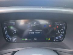 Hongqi HQ9 PHEV 2.0T AWD Business Edition - фото 12