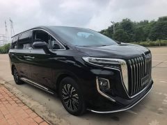 Hongqi HQ9 PHEV 2.0T AWD Business Edition - фото 4