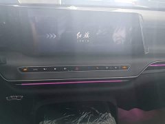 Hongqi H9 2024 2.0T Qichang Private Fashion Edition - фото 13