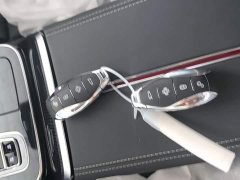 Hongqi H9 2024 2.0T Qichang Private Fashion Edition - фото 9