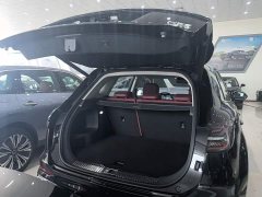 Hongqi HS5 2.0T two-wheel drive Qixiang Pro version - фото 19