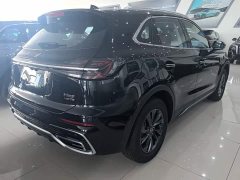 Hongqi HS5 2.0T two-wheel drive Qixiang Pro version - фото 7