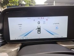 Hongqi HS5 2.0T four-wheel drive flag collar Pro version - фото 11