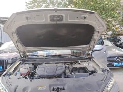 Hongqi HS5 2.0T four-wheel drive flag collar Pro version - фото 19