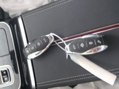 Hongqi H9 2024 2.0T Qichang Private Fashion Edition - фото 9