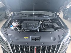 Hongqi HS5 2023 2.0T Qixiang Pro Edition - фото 20