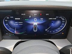 Hongqi HS7 PHEV 2.0T PHEV four-wheel drive Qichang version 6 seats - фото 12