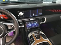 Hongqi E-HS9 690km flagship version six seats - фото 10