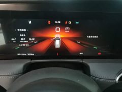 Hongqi E-HS9 690km flagship version six seats - фото 12