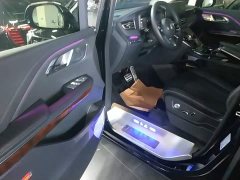 Hongqi HQ9 PHEV 2.0T four-wheel drive luxury version - фото 16
