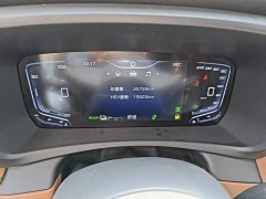 Hongqi HQ9 PHEV 2.0T AWD Business Edition - фото 12