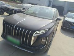 Hongqi HS7 PHEV 2.0T PHEV four-wheel drive Qichang version 6 seats - фото 1