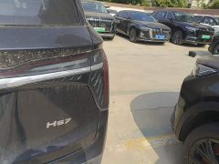 Hongqi HS7 PHEV 2.0T PHEV four-wheel drive Qichang version 6 seats - фото 8