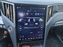 Hongqi HS7 PHEV 2.0T PHEV four-wheel drive Qichang version 6 seats - фото 13