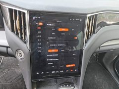 Hongqi HS7 PHEV 2.0T PHEV four-wheel drive Qichang version 7 seats - фото 13