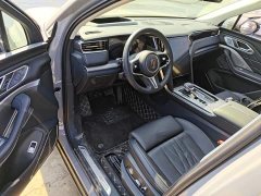 Hongqi HS7 PHEV 2.0T PHEV four-wheel drive flag collar version 6 seats - фото 16
