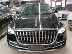 Hongqi HS7 2.0T DCT two-wheel drive Zhilian Qichang version, seven seats - фото 3