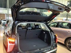Hongqi HS3 PHEV 2024 115km Jinwei Edition - фото 19