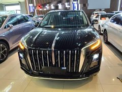 Hongqi HS3 PHEV 2024 115km Jinwei Edition - фото 3