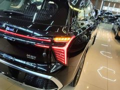 Hongqi HS3 PHEV 2024 115km Jinwei Edition - фото 8