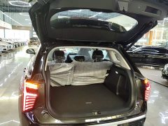 Hongqi HS3 PHEV 2024 115km Jinwei Edition - фото 19