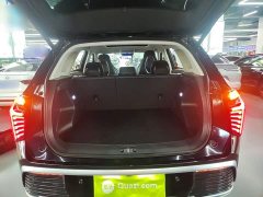 Hongqi HS3 2024 1.5T Shanwei Edition - фото 19
