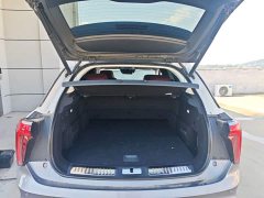 Hongqi E-HS9 660km flag collar version four seats - фото 19