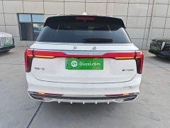 Hongqi E-HS9 660km flag collar version four seats - фото 6