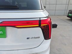 Hongqi E-HS9 660km flag collar version four seats - фото 8
