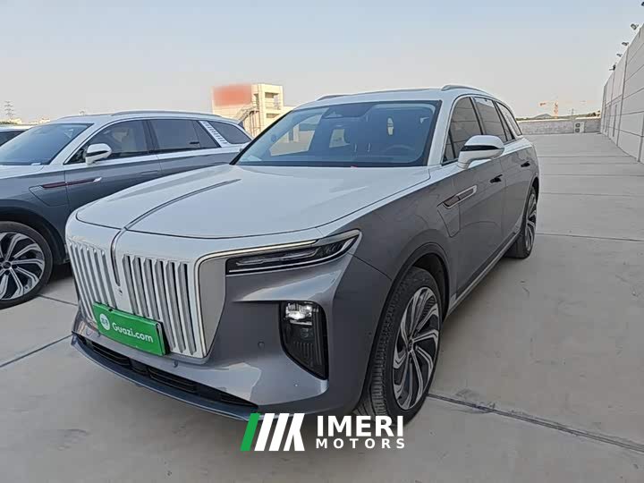 Hongqi E-HS9 660km flag collar version four seats - автомобиль из Китая
