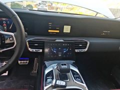 Hongqi E-HS9 660km flag collar version four seats - фото 13