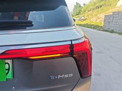 Hongqi E-HS9 660km flag collar version four seats - фото 8