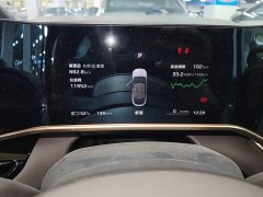 Hongqi EH7 760 Pro four-wheel drive version - фото 12